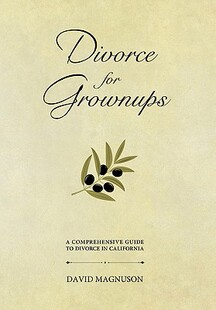 【预售】Divorce for Grownups: A Comprehensive Guide to