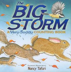 【预售】The Big Storm: A Very Soggy Counting Book