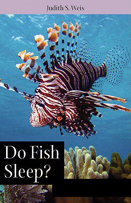 【预售】Do Fish Sleep?: Do Fish Sleep? Fascinating Answers