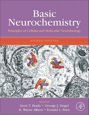【预售】Basic Neurochemistry: Principles of Molecular