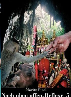 【预售】Nach Oben Offen. Reflexe 5
