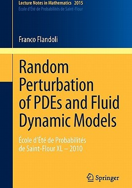 【预售】Random Perturbation of PDEs and Fluid Dynamic