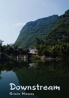 【预售】Downstream