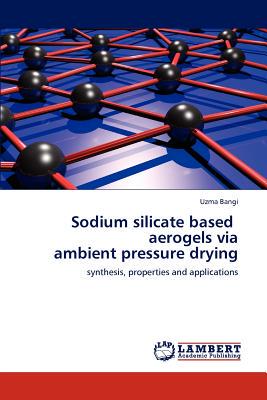 【预售】Sodium Silicate Based Aerogels Via Ambient Pressure