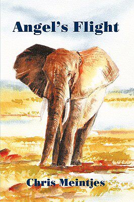 【预售】Angel's Flight