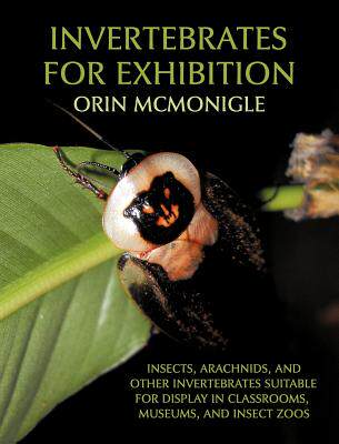 【预售】Invertebrates for Exhibition: Insects, Arachnids