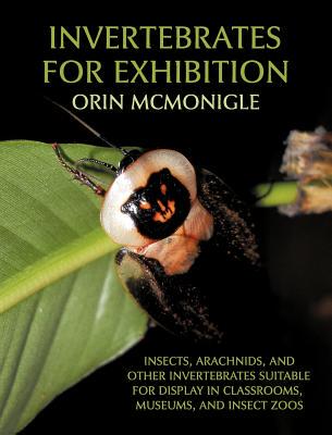 【预售】Invertebrates for Exhibition: Insects, Arachnids