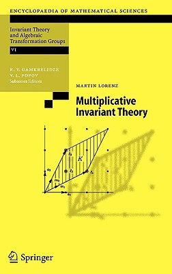 【预售】Multiplicative Invariant Theory