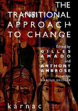 【预售】The Transitional Approach to Change