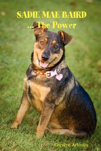 Mae Sadie 预售 Power ... the Baird