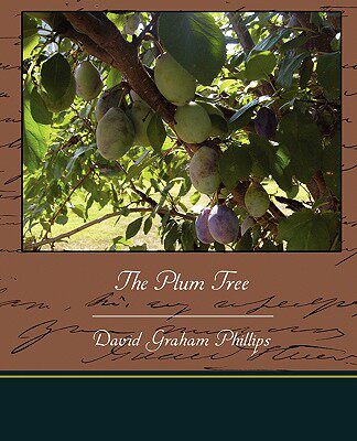 【预售】The Plum Tree