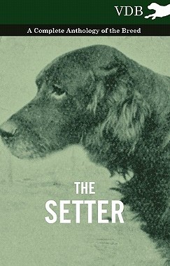 【预售】The Setter - A Complete Anthology of the Breed