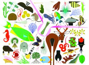 【预售】Charley Harper's Animal Kingdom