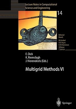 【预售】Multigrid Methods VI: Proceedings of the Sixth