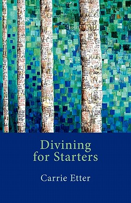 【预售】Divining for Starters