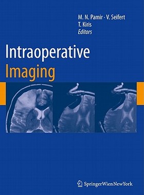 【预售】Intraoperative Imaging