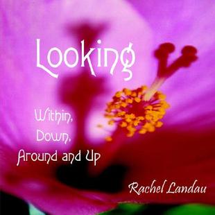 【预售】Looking: Within, Down, Around and Up