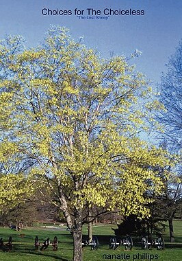 【预售】Choices for the Choiceless: The Lost Sheep