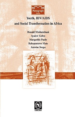 【预售】Youth HIV/AIDS and Social Transformati