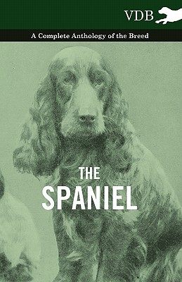 美国库房发货，通常付款后5-8周到货！