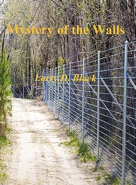 【预售】Mystery of the Walls