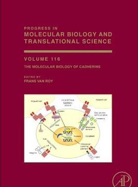 【预售】The Molecular Biology of Cadherins