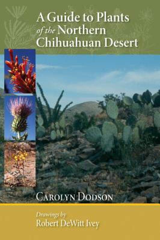【预售】A Guide to Plants of the Northern Chihuahuan Desert