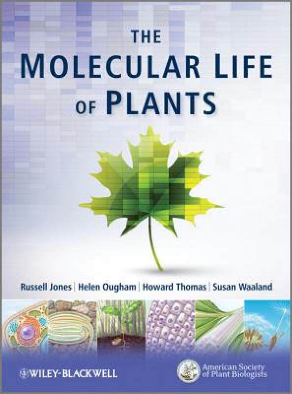 【预售】the molecular life of plants