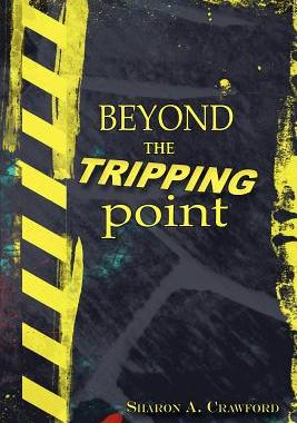 【预售】Beyond the Tripping Point