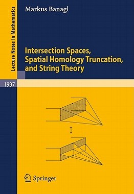 【预售】Intersection Spaces, Spatial Homology Truncation
