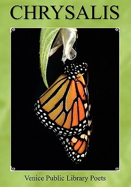 【预售】Chrysalis