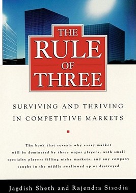 【预售】The Rule of Three: Why Only Three Major Competitors