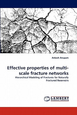 【预售】Effective Properties of Multi-Scale Fracture