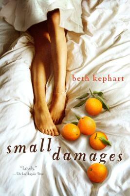 【预售】Small Damages