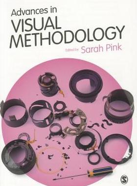 【预售】Advances in Visual Methodology