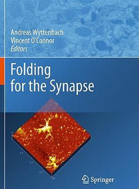 【预售】Folding for the Synapse