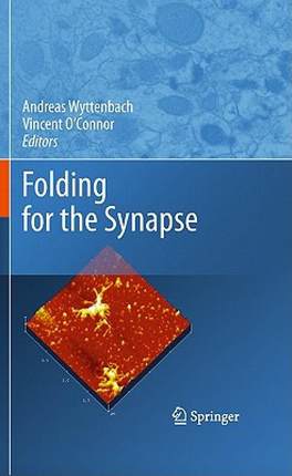 【预售】Folding for the Synapse