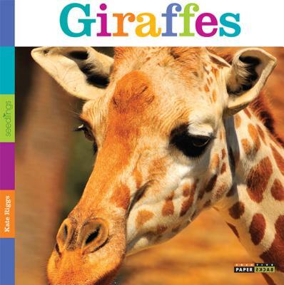 【预售】Seedlings: Giraffes