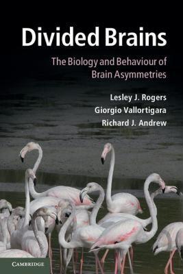 【预售】Divided Brains: The Biology and Behaviour of Brain