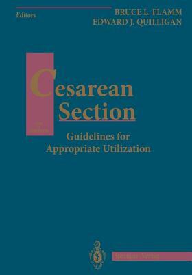 【预售】Cesarean Section: Guidelines for Appropriate