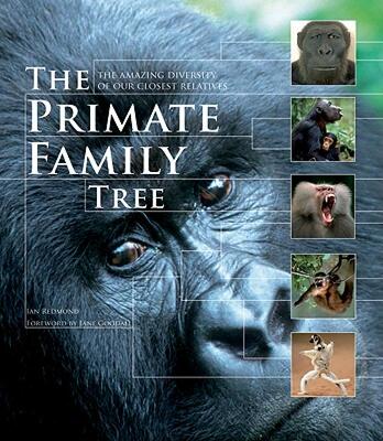 【预售】The Primate Family Tree: The Amazing Diversity of