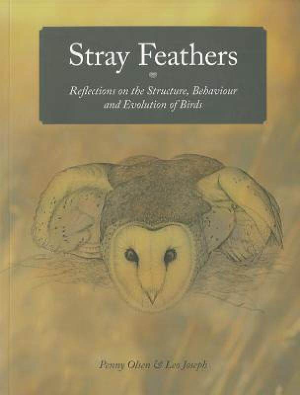 【预售】Stray Feathers: Reflections on the Structure