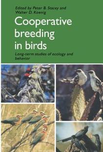Breeding Studies 预售 Term Cooperative Long Birds