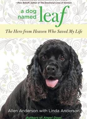 【预售】A Dog Named Leaf: The Hero from Heaven Who Saved My
