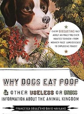 【预售】Why Dogs Eat Poop & Other Useless or Gross