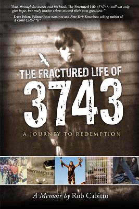 【预售】the fractured life of 3743: a journey to redemption