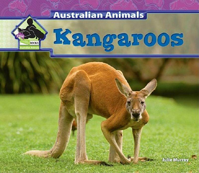 【预售】Kangaroos