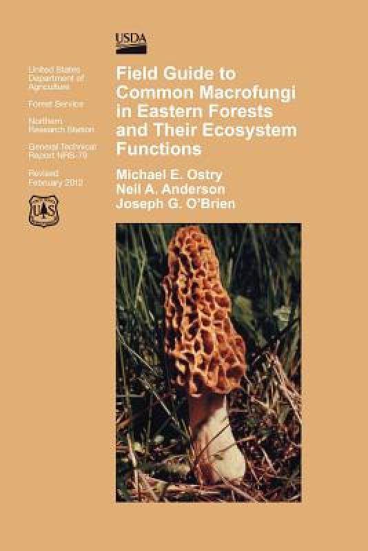 【预售】Field Guide to Common Macrofungi in Eastern Forests