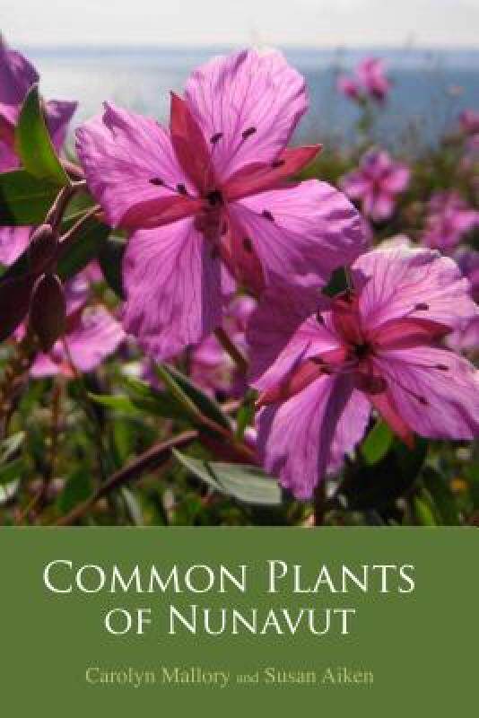 【预售】Common Plants of Nunavut