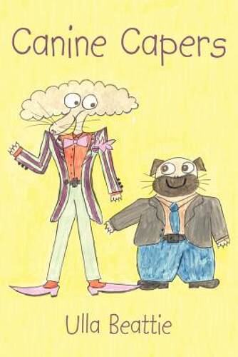 美国库房发货，通常付款后5-8周到货！